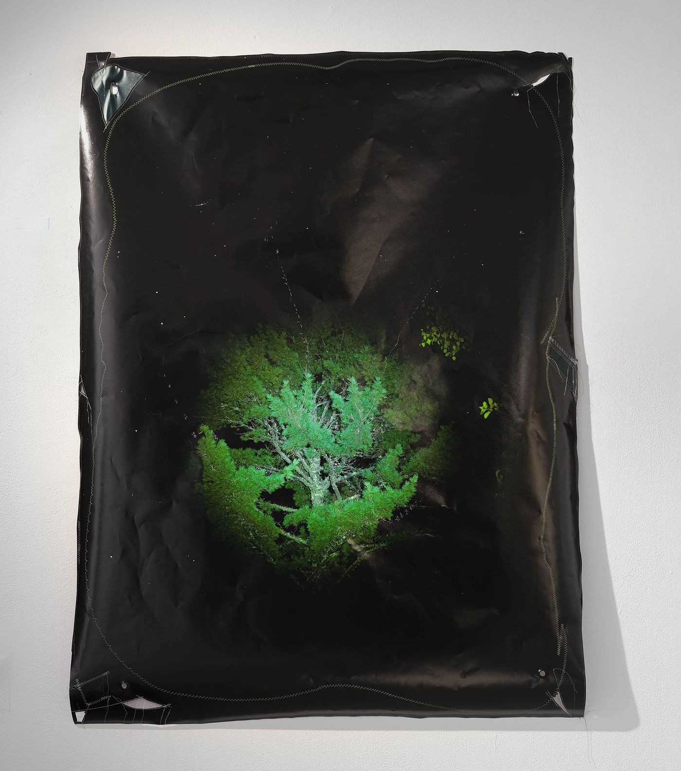 Nightvision, 2022. Photographic inkjet print, thread, fabric; 44 x 60 in. Photo: Amartya De.