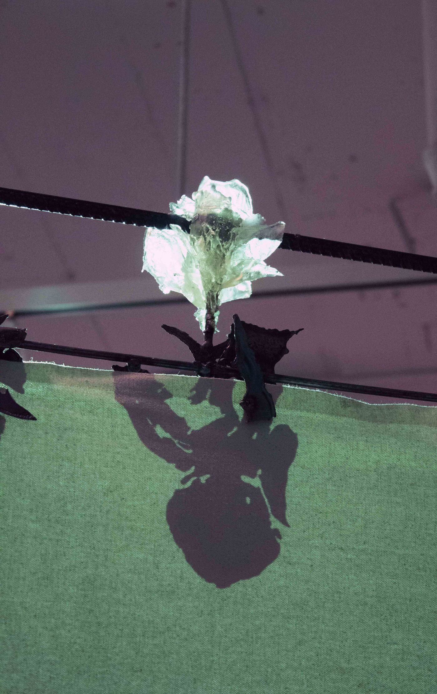 Quilla (detail), 2022. Cochineal, human blood, fire, photo transfer, pulverized selenite, steel, resin, and glitter on canvas; dimensions variable.
