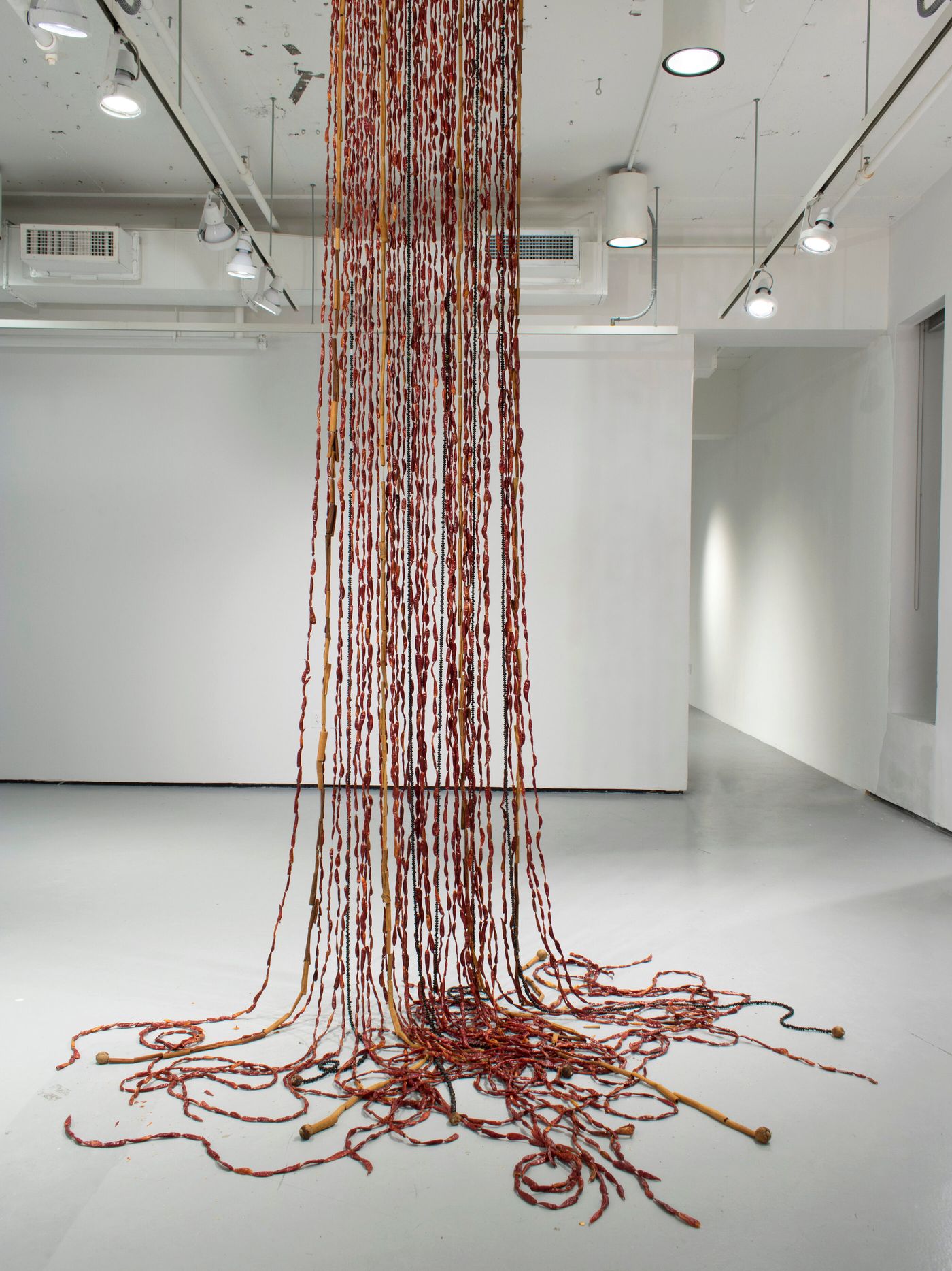nuestra ceiba, 2022. Dried chili peppers, chili pepper seeds, dried black beans, cinnamon, avocado pits, jade, glass beads, fishing line and nails (most of the food ingredients are from family, friends and shared meals); 7 x 12 x 6 ft. Photo: Sebastián Pérez.