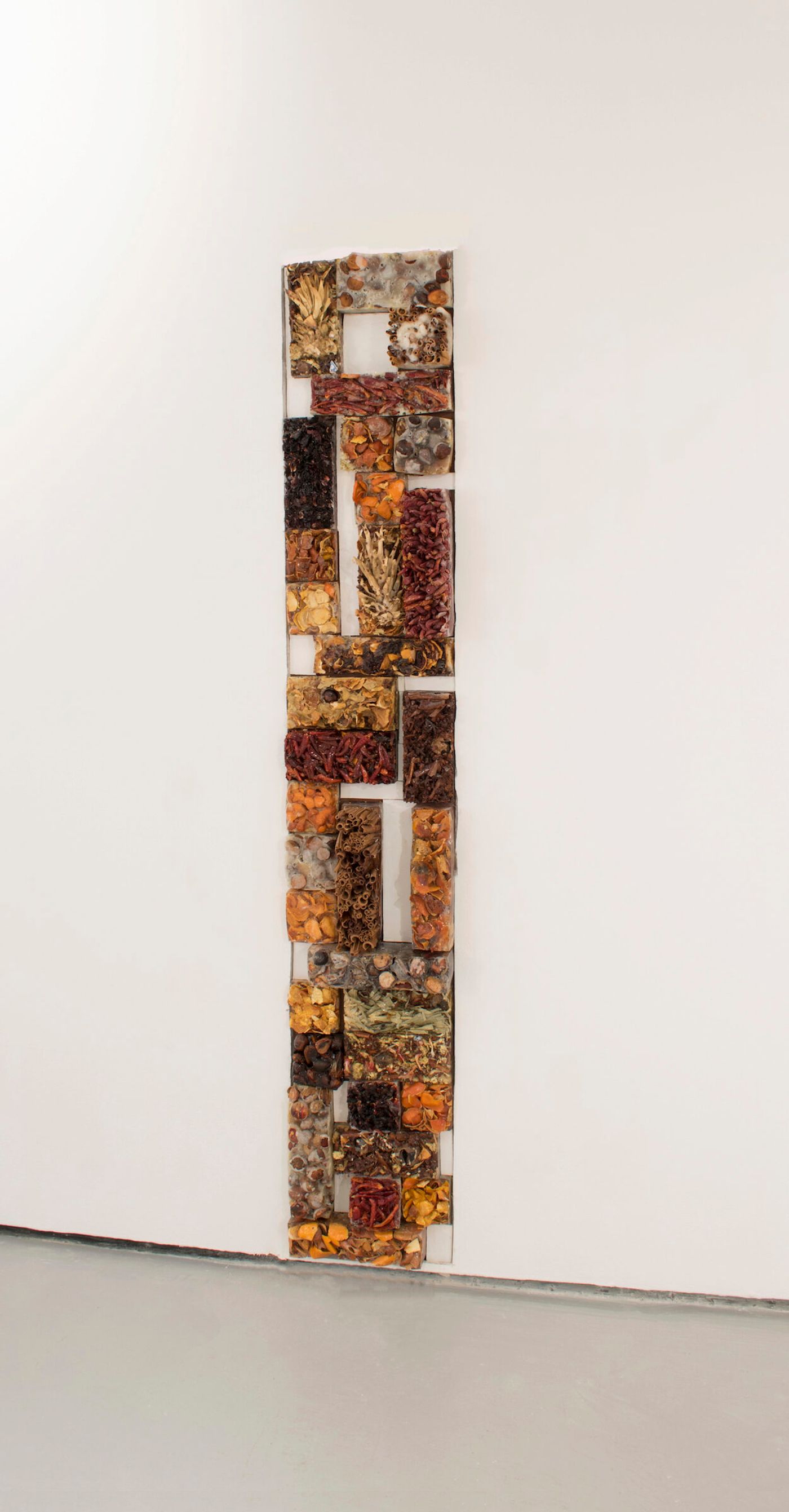 contra la pared, 2021-22. Avocado pits, achiote seeds, flor de jamaica, jasmine tea, chrysanthemum tea, orange peels, dried chili peppers, chili pepper seeds, dried black beans, cinnamon sticks, fennel seeds, peppercorn, star anise, bamboo leaves, White Rabbit candy casted in resin or sugar (most of the food ingredients are from family, friends and shared meals); 12 x 73 x 5 in. Photo: Sebastián Pérez.