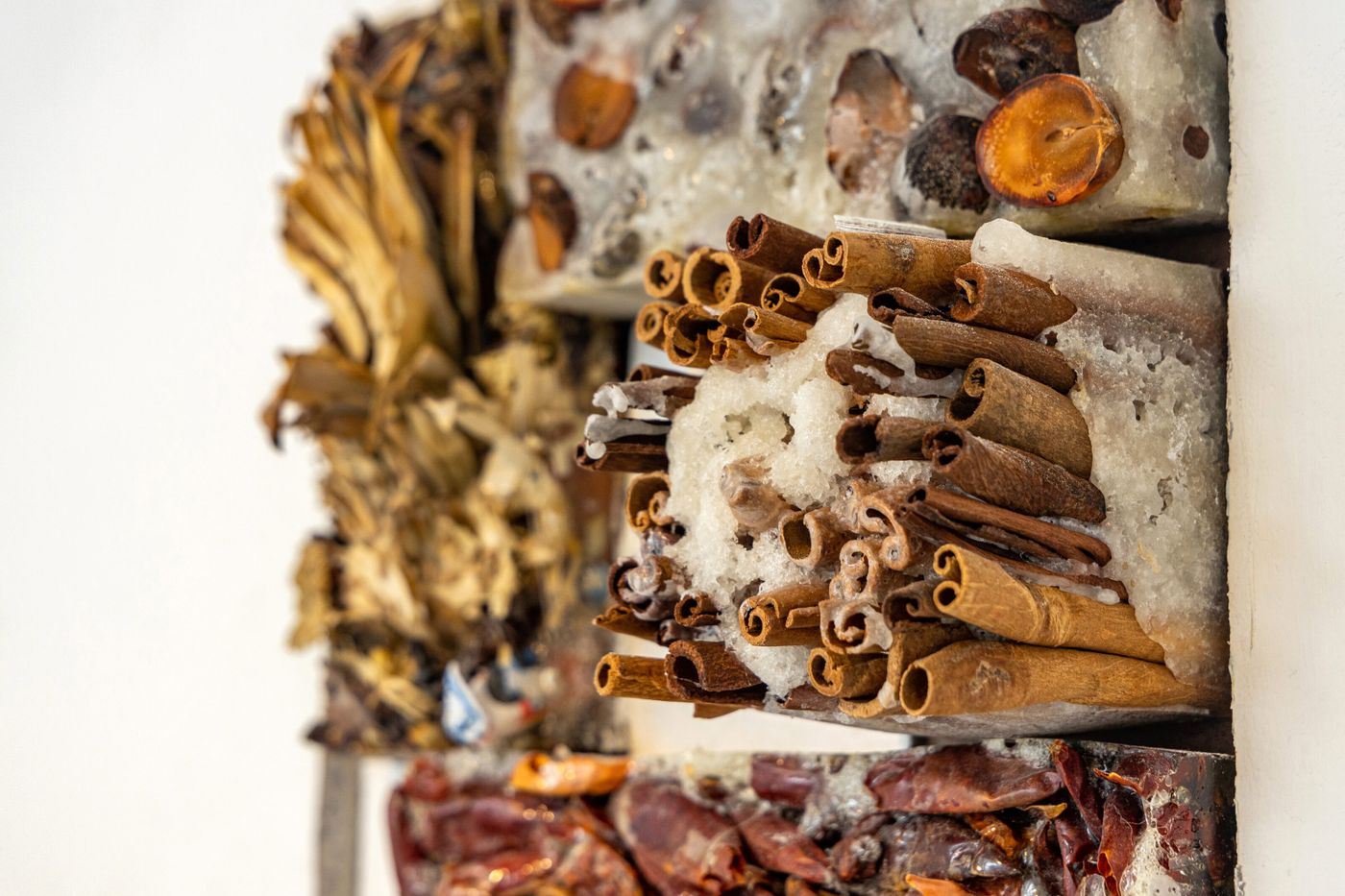 contra la pared (detail), 2021-22. Avocado pits, achiote seeds, flor de jamaica, jasmine tea, chrysanthemum tea, orange peels, dried chili peppers, chili pepper seeds, dried black beans, cinnamon sticks, fennel seeds, peppercorn, star anise, bamboo leaves, White Rabbit candy casted in resin or sugar (most of the food ingredients are from family, friends and shared meals); 12 x 73 x 5 in. Photo: Meghan Olson.